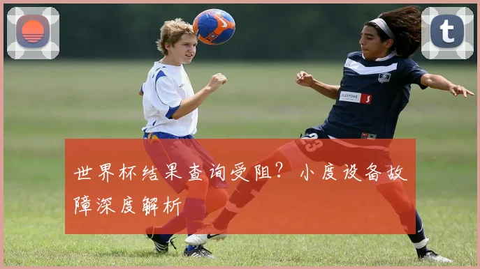 世界杯结果查询受阻?小度设备故障深度解析