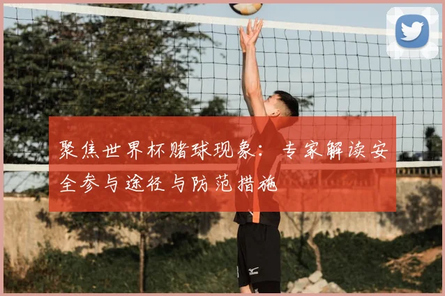 聚焦世界杯赌球现象:专家解读安全参与途径与防范措施