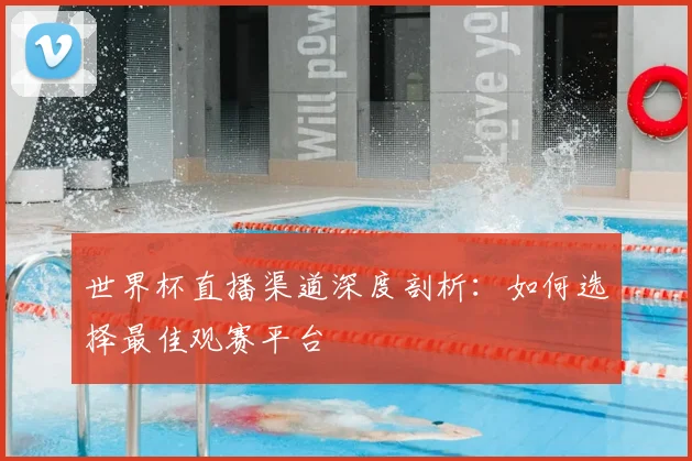 世界杯直播渠道深度剖析：如何选择最佳观赛平台