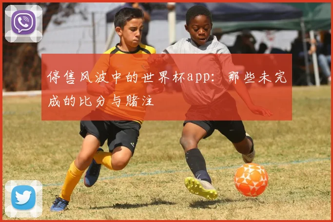 停售风波中的世界杯app:那些未完成的比分与赌注